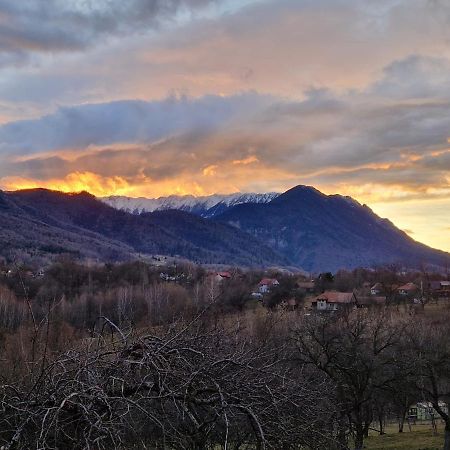 Bran Hill Villa Exteriör bild